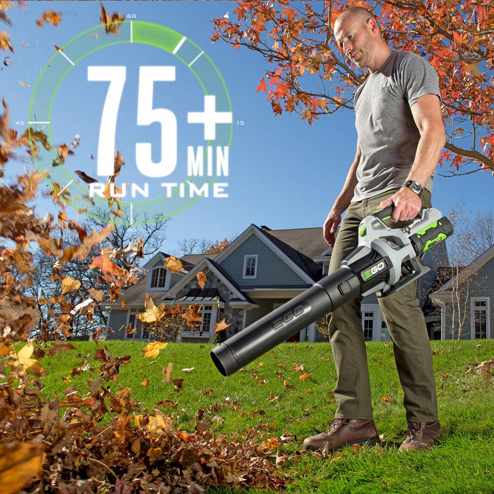 EGO Power+ ST1502LB 56V 15" String Trimmer & Blower Combo Kit