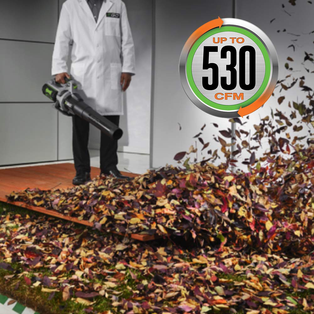 EGO Power+ ST1502LB 56V 15" String Trimmer & Blower Combo Kit