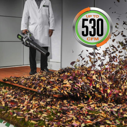 EGO Power+ ST1502LB 56V 15" String Trimmer & Blower Combo Kit
